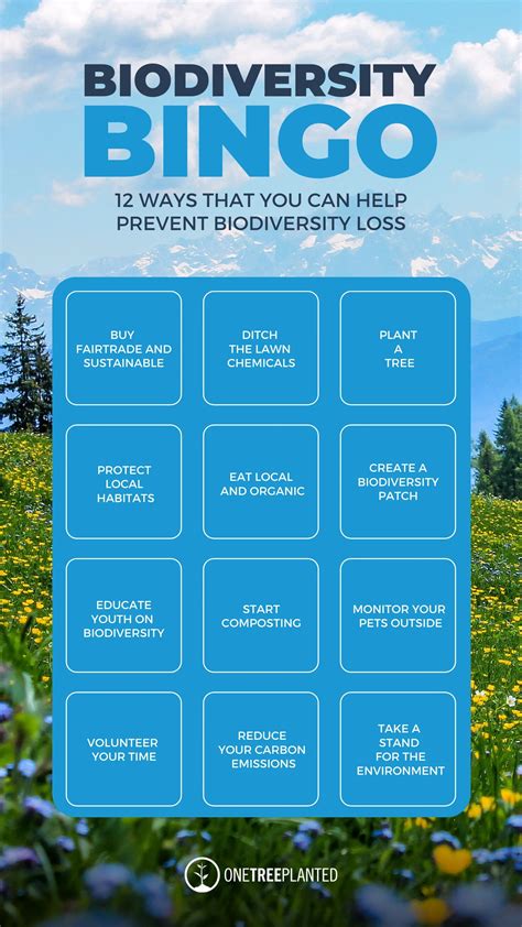 12 Ways To Prevent Biodiversity Loss One Tree Planted
