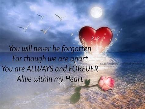 Never Forgotten How Could I When You Are My Heart Miss You Mum I