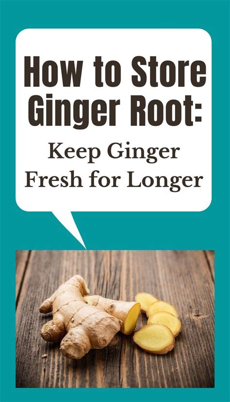 How To Store Ginger Root Keep Ginger Fresh For Longer How To Store Ginger Storing Fresh