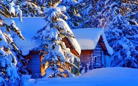 Nature Trees Forest Architecture Colorado Usa House Winter Snow Evening