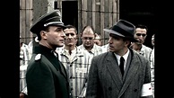 Eichmann the Movie (Directed by Robert Young) - DVDBay