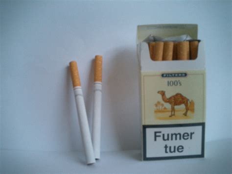 Camel cigarettes pack to choose from. Maker of Camel Cigarettes Bans Workplace Smoking : LIVING ...
