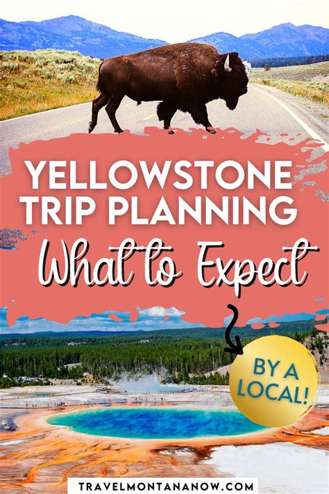 Yellowstone National Park Trip Planning What To Expect By A Local