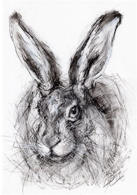 Original A4 Drawing Of A Hare Charcoal Sketch By Animal Artist