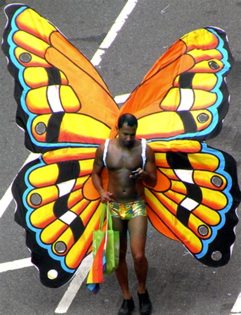 Gay Butterflies Arnold Zwickys Blog