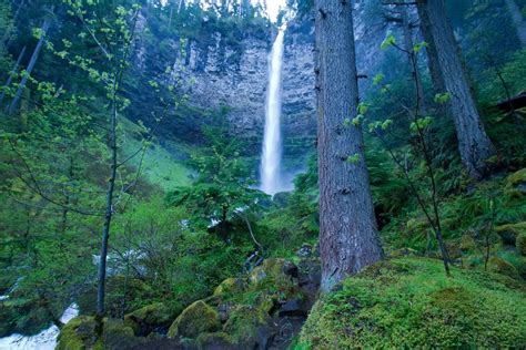 15 Asombrosas Cascadas En Oregon El Blog Del Viajero
