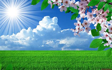 Tree Sky Flowers Spring Nature Wallpaper 2880x1800 23632