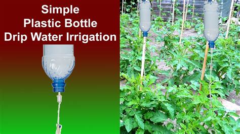 Plastic Bottle Drip Water Irrigation Simple And Effective Youtube