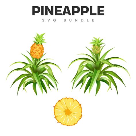 Colorful Pineapple Svg Designs Masterbundles