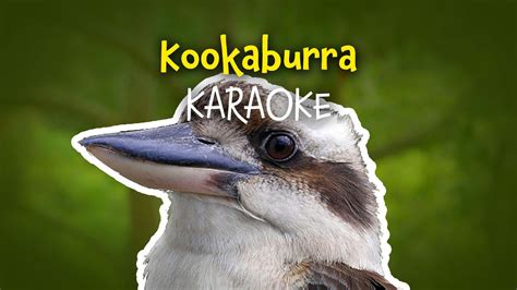 Kookaburra Free Nursery Rhymes With Lyrics Youtube