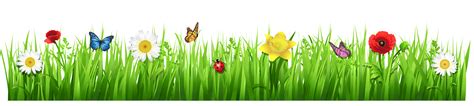 Spring Grass Png Clipart Cartoon