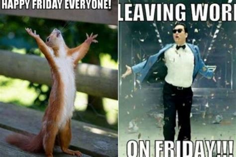 15 Friday Memes To Kick Off Your Weekend Teesside Live