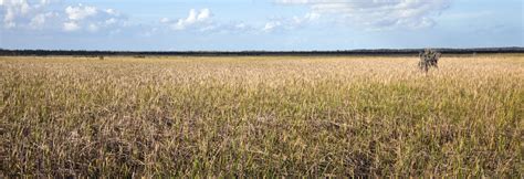 Biloxi Marsh Lands Corporation