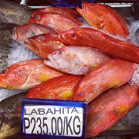 Fish names are quite different and varied in local dialects. Labahita: Photos of this Fish of the Philippines