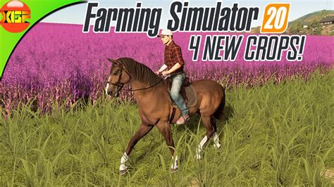 4 New Crops Coming To Farming Simulator 20 Fs 20 All 11 Crops Fs20