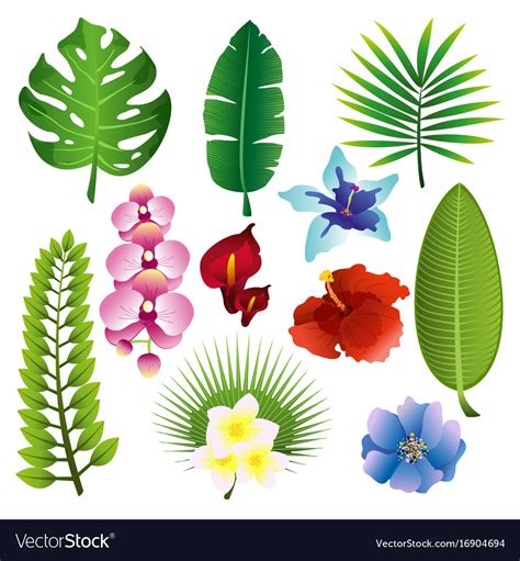 set of colorful tropical royalty free vector image