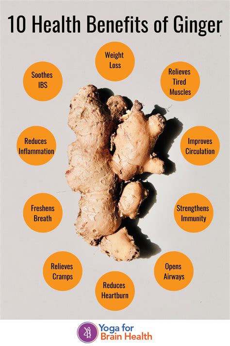 Health Benefits Of Ginger Yoga For Brain Health