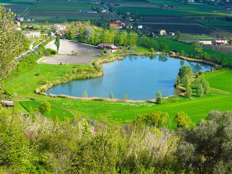 Il Lago Della Costa Parco Regionale Dei Colli Euganei