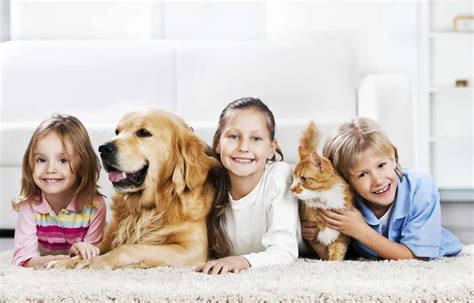 Benefits Of Children Growing Up With Pets Girlsandboystown Home