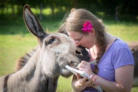 Andre Weima Fotografie Bonnie Outdoor Animals