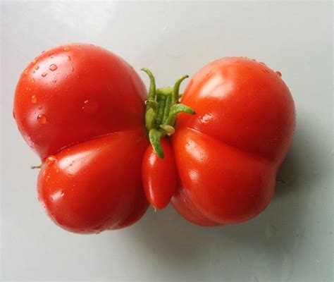 These Oddly Shaped Fruits And Vegetables Will Make You Do A Double Take