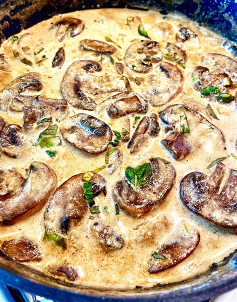 Creamy Mushroom Stew Recipe
