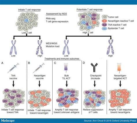 Immunotherapy Meets Personalized Oncology In The Genomic Era