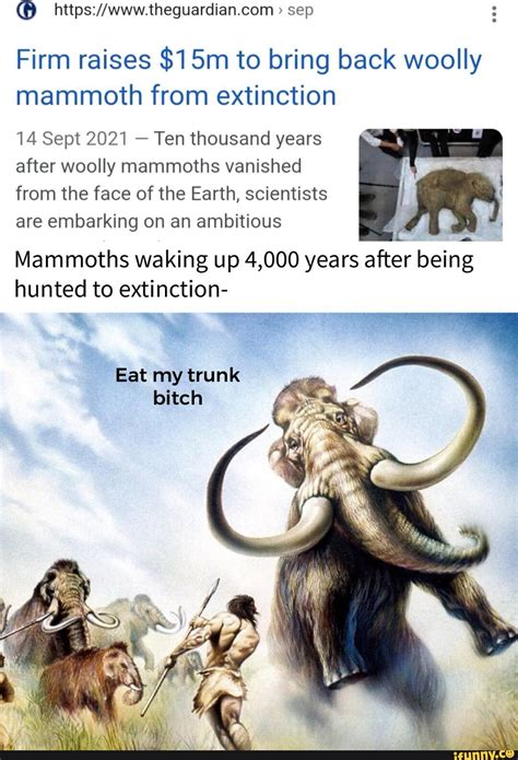 Sep Firm Raises To Bring Back Woolly Mammoth From Extinction 14 Sept 2021 Ten Thousand Years