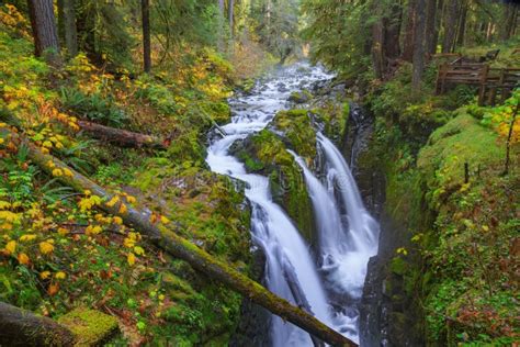 Sol Duc Waterfall In Rain Forest Stock Photo Image Of Pacific