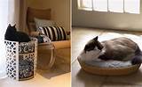 Pictures of Images Of Cat Beds