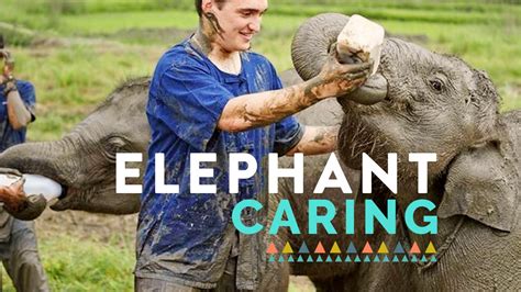 Elephant Sanctuary Bali Cruelty Free - Chiang Mai Elephant Sanctuary | Book Local Tours - TakeMeTour