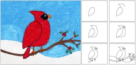 Draw A Cardinal Art Projects For Kids