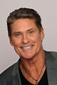 David Hasselhoff Photos | Tv Series Posters and Cast