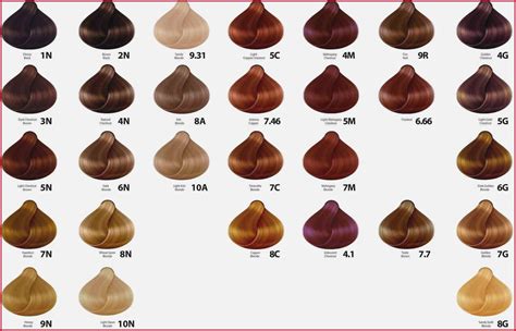 The Best Inoa Hair Color Chart Pdf And Pics Hair Color Chart Loreal Hair Color Chart