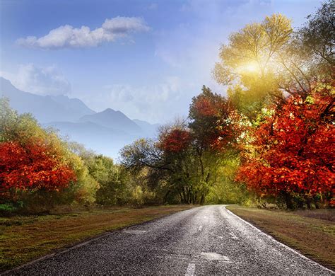 Autumn Mountains And Asphalt Road Landscape Wall Mural