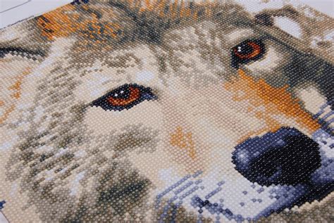 Wolf From Lanarte Diamond Painting Kits Casa Cenina