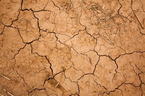 Cracked Earth Texture Earth Texture Textured Background Free Textures
