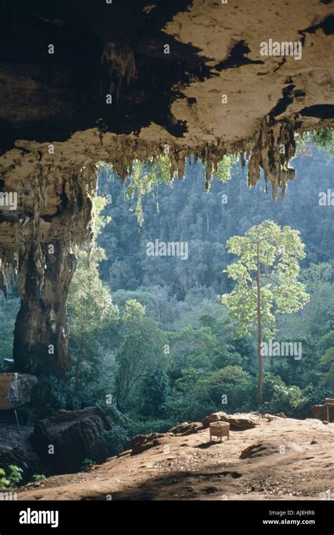 Niah Cave Borneo Malaysia Stock Photo Alamy