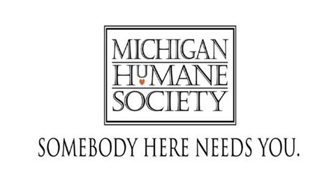 Michigan Humane Society offers reward to find who set dog on fire