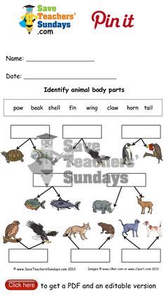 Revise animals and body vocabulary, practice structures, for example, the giraffe has got a long neck and four legs. 1000+ images about Year 1 Animals, including Humans lesson ...