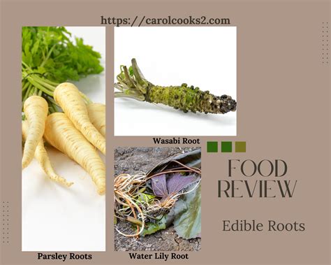 Carolcooks2friday Food Reviewsedible Rootspart 2 Retired No One