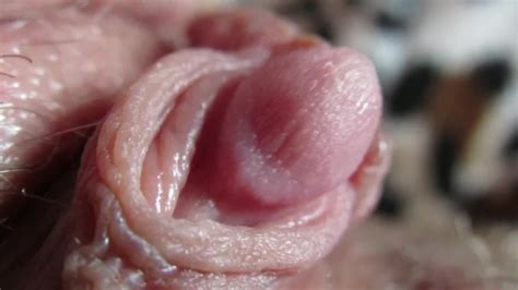 Pulsing Hard Clitoris In Extreme Close Up Pornhub Com