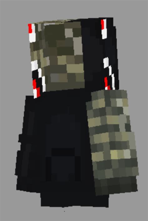 Bape Hoodie With Tutorial To Put On Skin Minecraft Skin