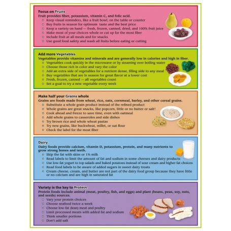 MyPlate Poster With Key Phrases SEM Trainers