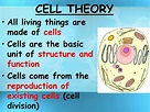 PPT - Basic Structure of a Cell PowerPoint Presentation, free download ...
