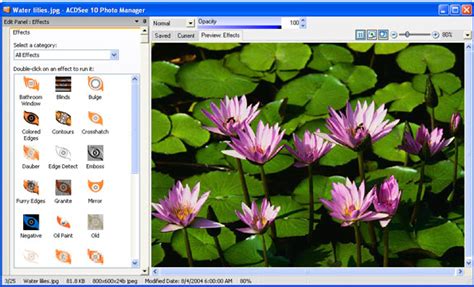Acdsee 10 Image Viewer Software Download For Pc