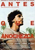 Antes que anochezca - SensaCine.com.mx