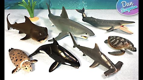 Whale Shark Toy Videos Jame Guevara