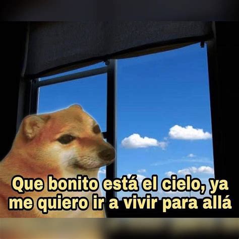 Que Bonito Está El Cielo Ya Me Quiero Ir A Vivir Para Allá Memes