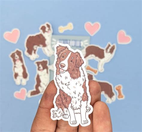 Brown Border Collie Sticker Set Cute Dog Sticker Pack Etsy Brown